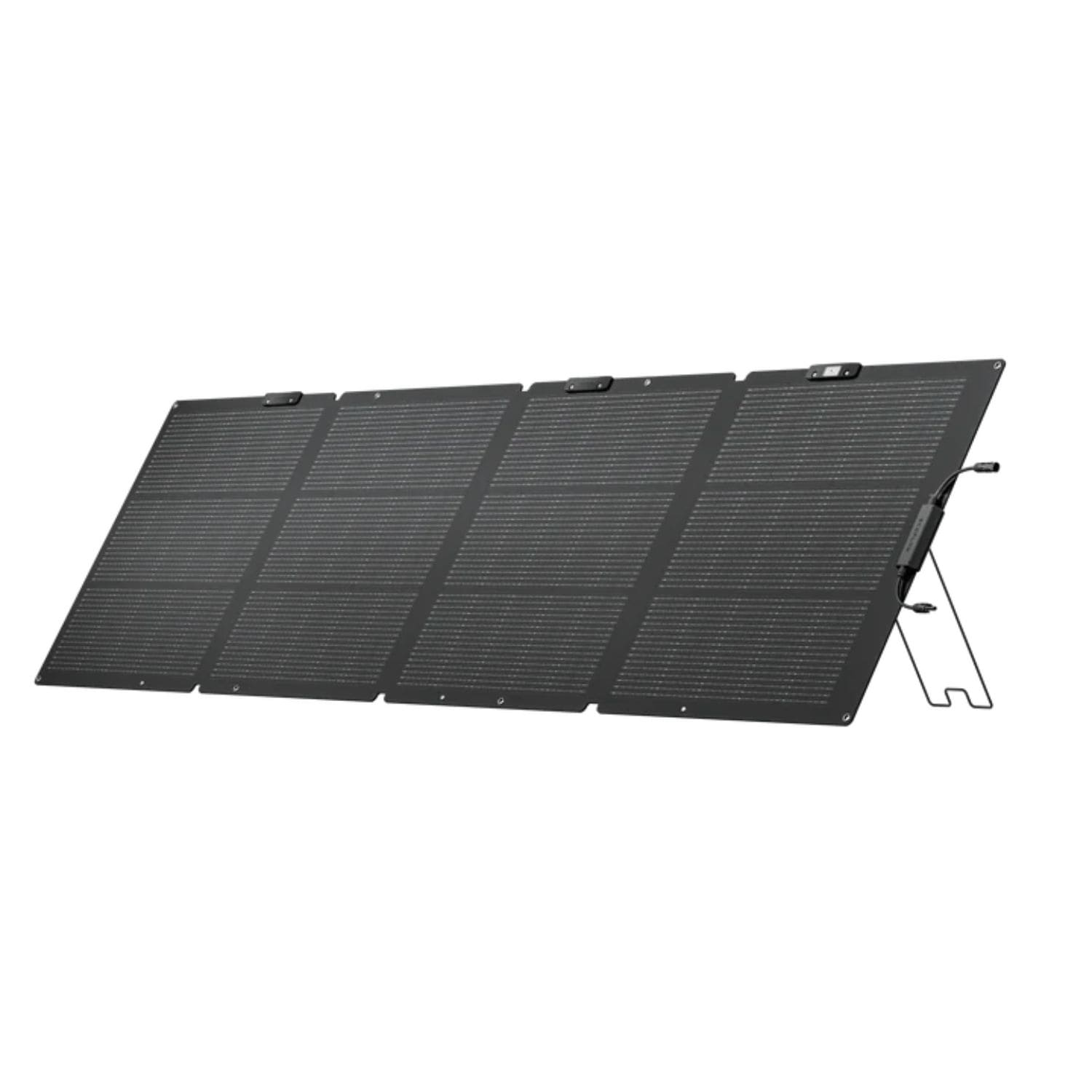 IMG_5139 ecoflow bifacial solar panel