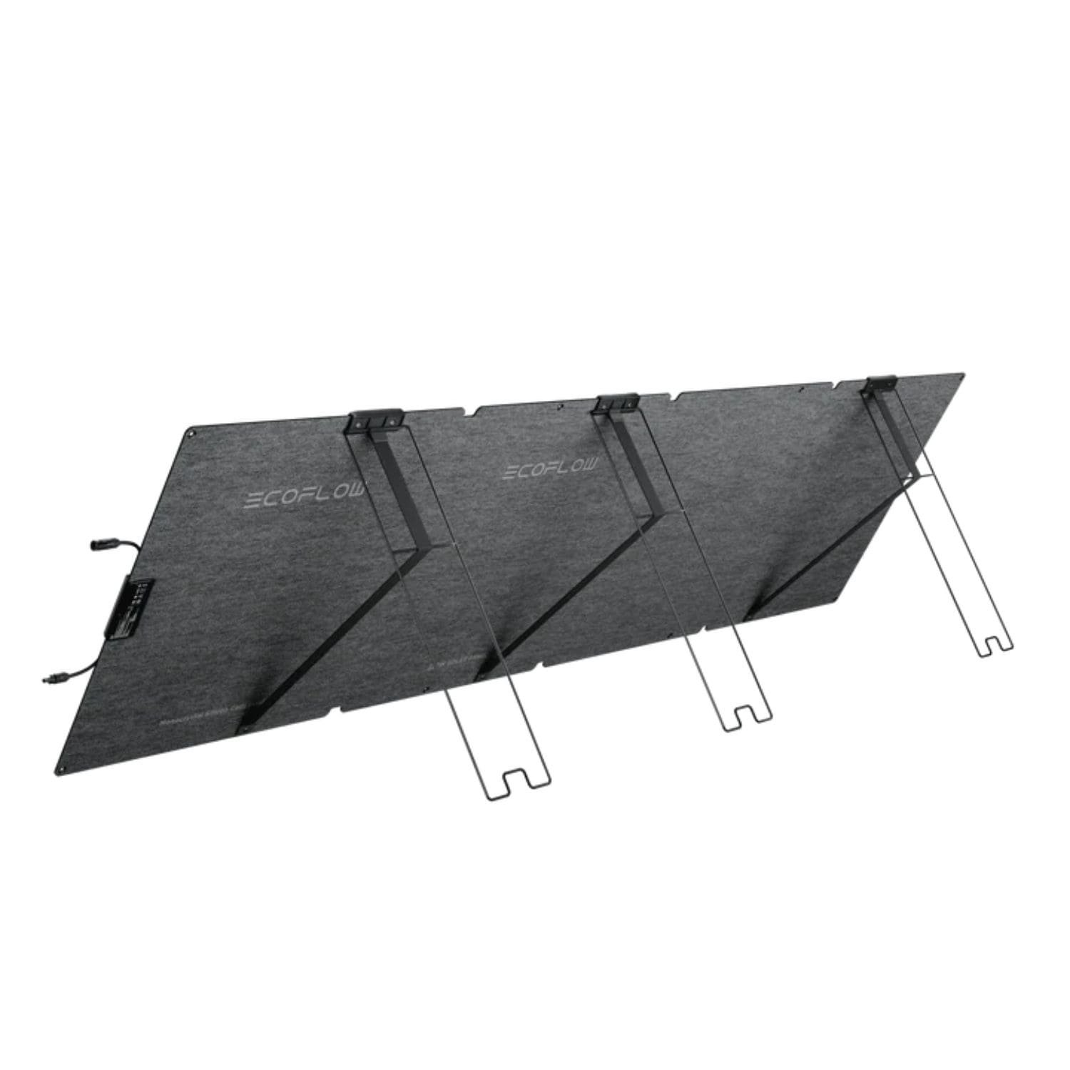 IMG_5141 ecoflow bifacial solar panel