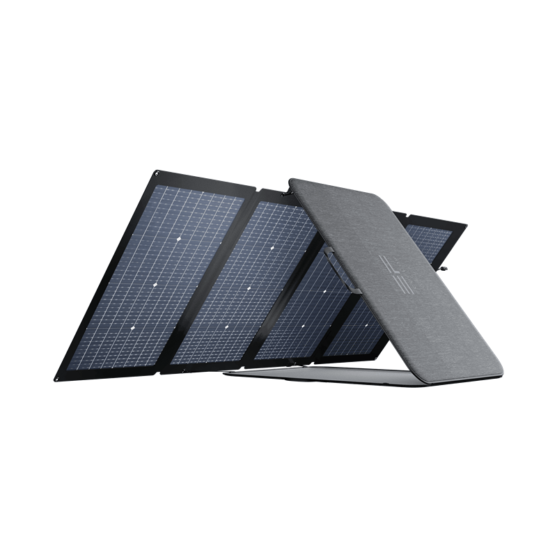 IMG_5146 ecoflow bifacial solar panel